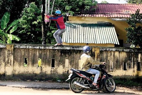 Đừng làm đau cây xanh