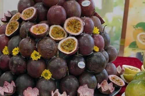 Công bố xuất khẩu chanh leo Việt Nam sang thị trường Australia