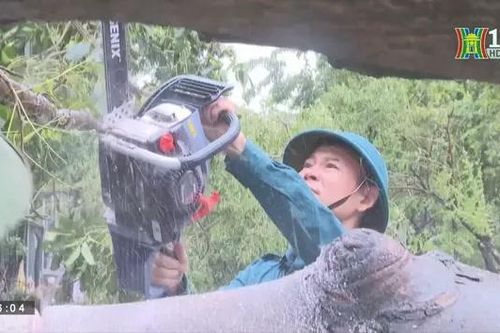 Huyện Quốc Oai tập trung khắc phục hậu quả bão số 3