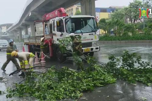 Sở GTVT Hà Nội cấp bách khắc phục hậu quả bão