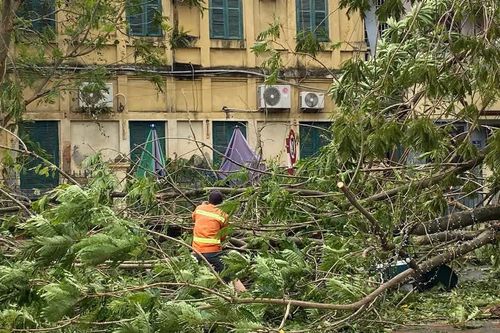 Dự báo thời tiết từ nay đến hết năm 2024: Tiếp tục xuất hiện 6-8 cơn bão trên biển Đông