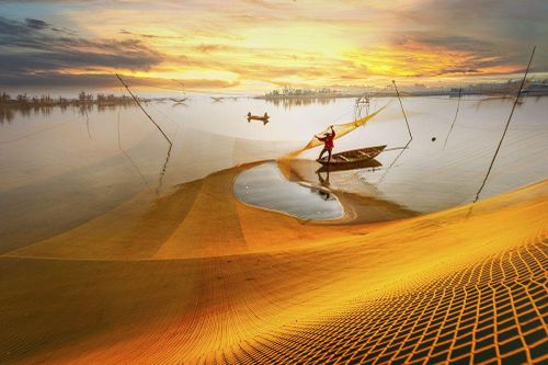 Cảm xúc dẫn lối