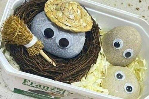 Vừa nghèo vừa cô đơn, gen Z Trung Quốc đua nhau 'nuôi' đá cuội làm thú cưng