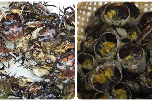 Một số bài thuốc có cua đồng