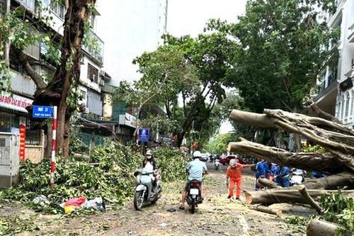 Quận Hai Bà Trưng cơ bản khắc phục xong hậu quả bão số 3 gây ra