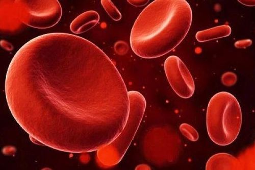 Chế độ ăn cho người bệnh thừa sắt