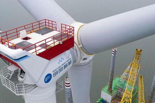 Turbine gió mạnh nhất thế giới trụ vững trong bão Yagi