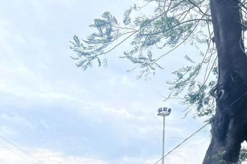 Cần khôi phục điện lưới để để nhà mạng khôi phục phát sóng di động