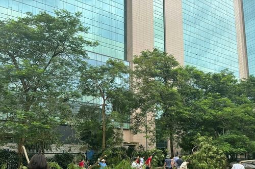 Nhiều trường chuyển dạy học online do bão lũ