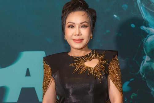 Việt Hương, Lý Hải ủng hộ người dân chịu thiệt hại vì bão lũ
