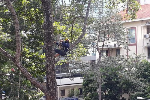 Cho phép một số lực lượng hỗ trợ khắc phục hậu quả bão số 3