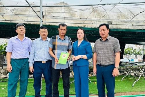 Hội Nông dân Hà Nội: hỗ trợ nông dân khắc phục hậu quả bão số 3