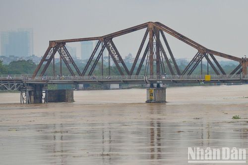 Nhiều trường đại học chuyển sang hình thức học trực tuyến do ảnh hưởng của mưa lũ