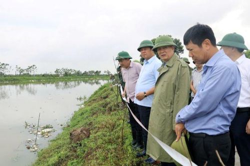 Chủ tịch Hội đồng nhân dân thành phố Hà Nội thị sát các tuyến đê tại huyện Thường Tín