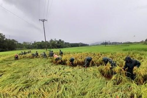 Sư đoàn 312 giúp nhân dân phường Tân Phú, thành phố Phổ Yên khắc phục hậu quả sau bão
