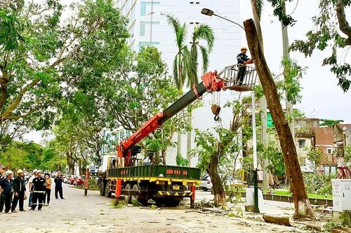 Hỗ trợ Hà Nội, Hải Phòng khắc phục hậu quả bão số 3