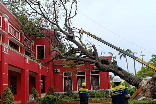 TPHCM hỗ trợ nhân lực cùng Hà Nội, Hải Phòng khắc phục hậu quả bão số 3