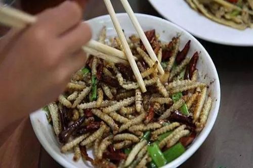 'Đặc sản' rùng rợn từ sâu, nhiều thực khách sợ nổi da gà