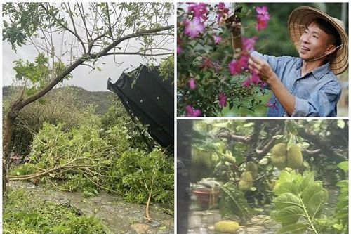 Bên trong cơ ngơi rộng 10.000m2 của NSƯT Việt Hoàn