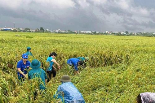 Thanh niên Thủ đô chung tay hỗ trợ khắc phục hậu quả bão số 3