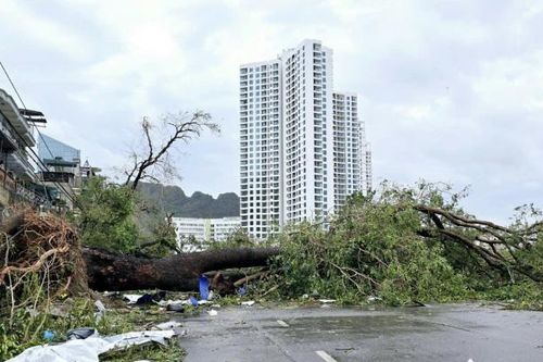 Hạ Long (Quảng Ninh): Đồng loạt ra quân khắc phục hậu quả do bão số 3 gây ra