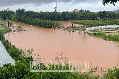 Nam Định: Lên phương án di dân tại các khu vực nguy hiểm về nơi tránh trú an toàn