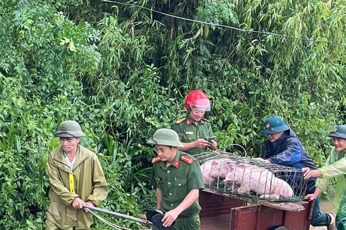 Vĩnh Phúc khẩn trương di dời người dân vùng ngập lụt đến nơi an toàn