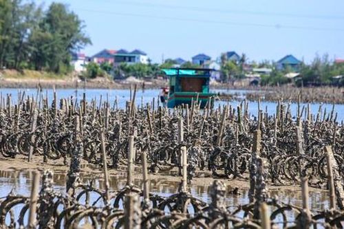 Tháo dỡ 'ma trận' hàng nghìn cọc bê tông trên lòng sông ở Hà Tĩnh