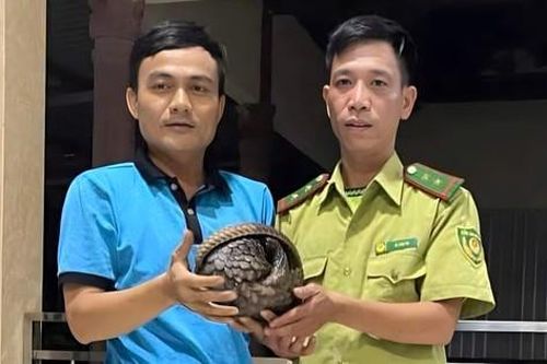 Người dân tự nguyện giao nộp con vật quý hiếm, nguy cơ tuyệt chủng