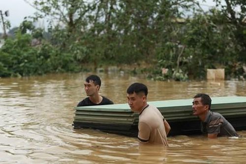 Dân ven sông Hồng hối hả chạy lũ