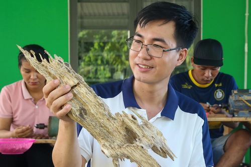 Kỹ sư về quê tìm 'vàng' trong thân cây, doanh thu nửa tỷ đồng mỗi tháng
