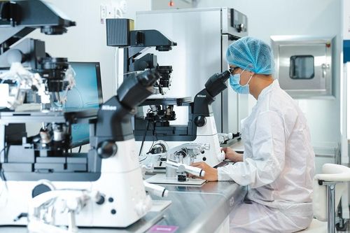 Vụ trưởng Sức khỏe bà mẹ - trẻ em: Có việc buôn bán trứng, tinh trùng, đẻ thuê