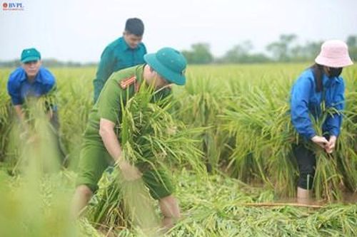 Lực lượng chức năng xuống đồng hỗ trợ người dân cứu lúa