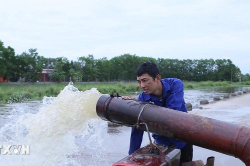 Tỉnh Thái Bình tiêu úng, phục hồi kịp thời hơn 11.000 ha lúa mùa