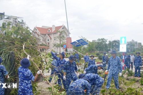Lùi thời gian tổ chức Lễ hội chọi trâu Đồ Sơn để khắc phục hậu quả bão số 3