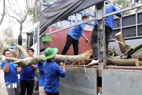 TP Hồ Chí Minh cử lực lượng hỗ trợ Hà Nội, Hải Phòng cắt tỉa cây xanh sau bão