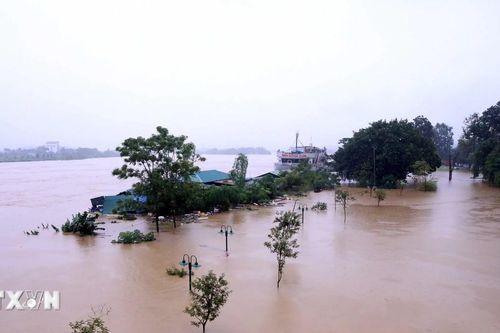 Tuyên Quang: Lũ trên sông Lô vượt mức báo động 3