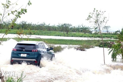 Hưng Yên phát lệnh báo động I trên tuyến đê tả sông Luộc, sông Hồng