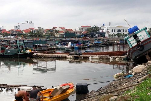 Quảng Ninh: Người nuôi trồng hải sản mất trắng do bão số 3