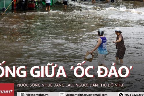 Người dân Thủ đô như sống giữa 'ốc đảo' vì nước sông Nhuệ dâng cao