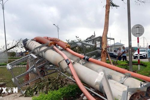 Quảng Ninh: Tạm đình chỉ chức vụ Giám đốc Điện lực Hạ Long