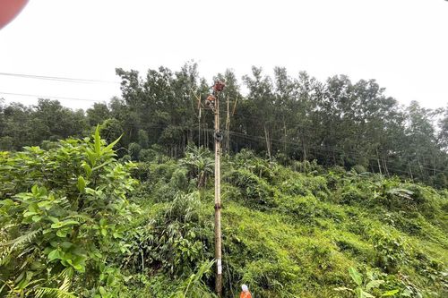 Tính đến sáng 10/9: Gần 230.000 khách hàng các tỉnh phía Bắc bị mất điện do mưa bão