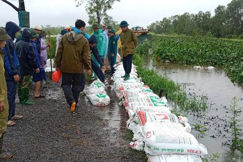Hà Nội sẵn sàng phương án sơ tán dân do mực nước các sông lên nhanh