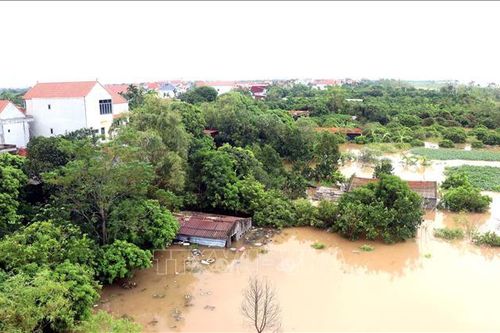 Hưng Yên phát lệnh báo động I trên tuyến đê tả sông Luộc, sông Hồng