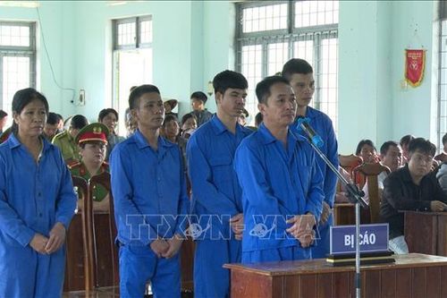 Xét xử vụ hủy hoại rừng ở Đăk Hà