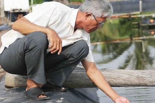 Ông nông dân nuôi con 'nhiều chân', lãi 4,5 tỷ đồng/năm rất nhẹ nhàng
