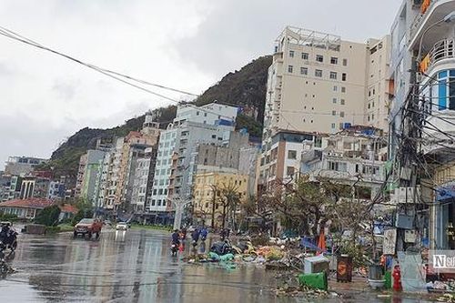 Đảo Cát Bà ngổn ngang sau bão số 3, hộ nuôi ngậm ngùi vớt cá chết