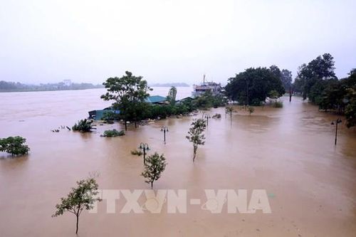 Tuyên Quang: Lũ trên sông Lô vượt mức báo động 3