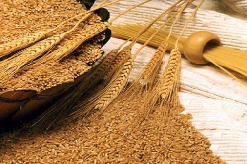 Nhập khẩu lúa mì về Việt Nam tăng mạnh 18,3%