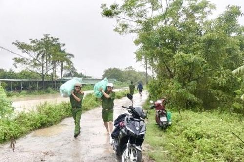 Hà Nam: Cảnh báo lũ sông Đáy đã lên trên báo động III